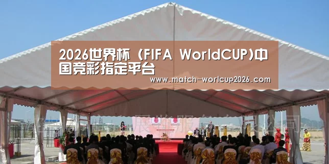 案例标题三