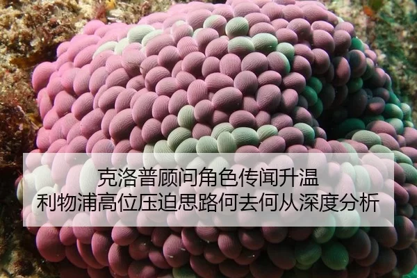 ke-luo-pu-gu-wen-jue-se-chuan-wen-sheng-wen-li-wu-pu-gao-wei-ya-po-si-lu-he-qu-he-cong-shen-du-fen-xi-2-620.jpg