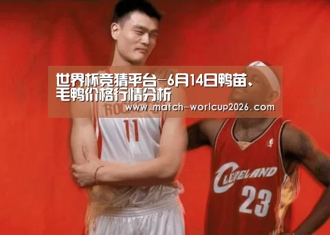 世界杯竞猜平台-6月14日鸭苗、毛鸭价格行情分析